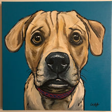 Load image into Gallery viewer, Custom Hand Painted Pet Portraits -Dog or Cat Painting on Canvas - EXPRESSIVE STYLE