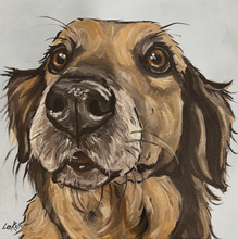 Load image into Gallery viewer, Custom Hand Painted Pet Portraits -Dog or Cat Painting on Canvas - EXPRESSIVE STYLE