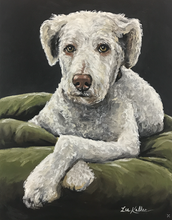 Load image into Gallery viewer, Custom Hand Painted Pet Portraits -Dog or Cat Painting on Canvas - REALISTIC STYLE