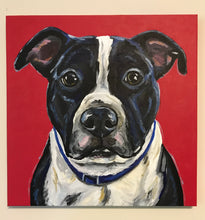 Load image into Gallery viewer, Custom Hand Painted Pet Portraits -Dog or Cat Painting on Canvas - EXPRESSIVE STYLE