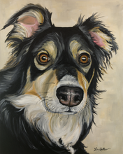 Load image into Gallery viewer, Dog Art Print, &#39;Sophie&#39; Australian Shepherd Fine Art Print

