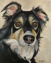 Load image into Gallery viewer, Dog Art Print, 'Sophie' Australian Shepherd Fine Art Print