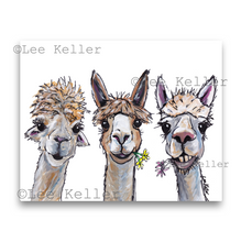 Load image into Gallery viewer, Alpaca Art, 'Trio' Alpaca Print