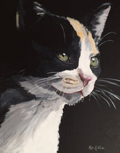 Load image into Gallery viewer, Cat Art Print, Calico Cat Fine Art Print