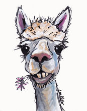 Load image into Gallery viewer, Alpaca Art, 'Diesel on White' Alpaca Print