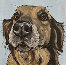 Load image into Gallery viewer, Custom Hand Painted Pet Portraits -Dog or Cat Painting on Canvas - EXPRESSIVE STYLE
