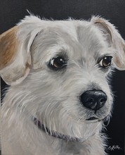 Load image into Gallery viewer, Custom Hand Painted Pet Portraits -Dog or Cat Painting on Canvas - REALISTIC STYLE
