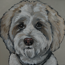 Load image into Gallery viewer, Custom Hand Painted Pet Portraits -Dog or Cat Painting on Canvas - EXPRESSIVE STYLE
