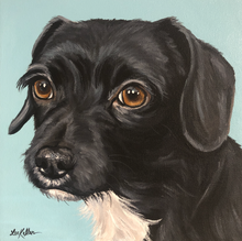 Load image into Gallery viewer, Custom Hand Painted Pet Portraits -Dog or Cat Painting on Canvas - REALISTIC STYLE
