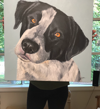Load image into Gallery viewer, Custom Hand Painted Pet Portraits -Dog or Cat Painting on Canvas - REALISTIC STYLE

