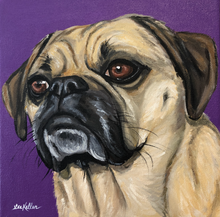 Load image into Gallery viewer, Custom Hand Painted Pet Portraits -Dog or Cat Painting on Canvas - REALISTIC STYLE
