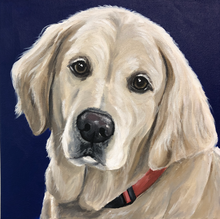 Load image into Gallery viewer, Custom Hand Painted Pet Portraits -Dog or Cat Painting on Canvas - REALISTIC STYLE
