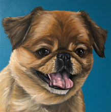 Load image into Gallery viewer, Custom Hand Painted Pet Portraits -Dog or Cat Painting on Canvas - REALISTIC STYLE
