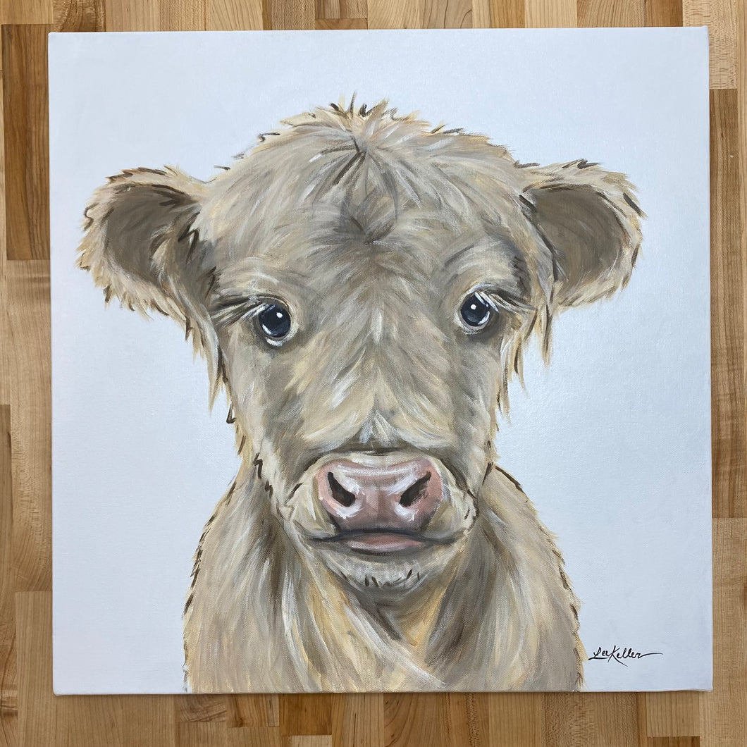Original Painting of Highland Cow Calf 