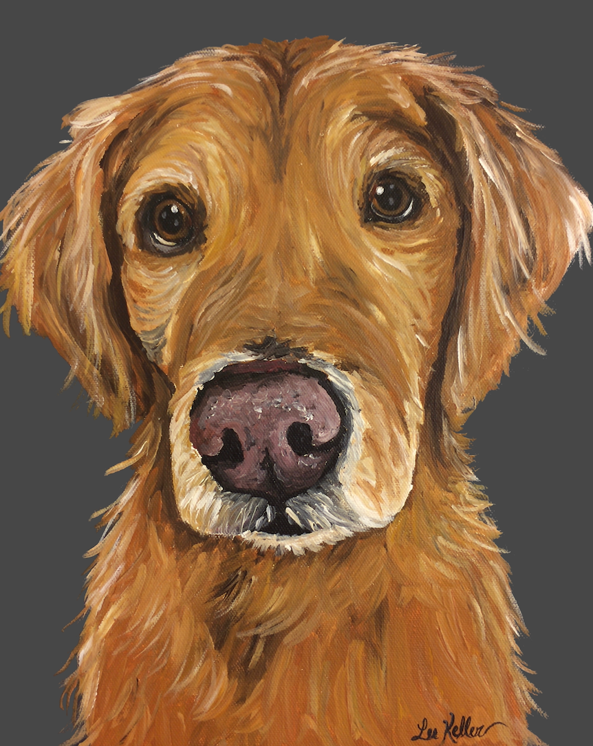 Dog Art, Golden Retriever Art Print