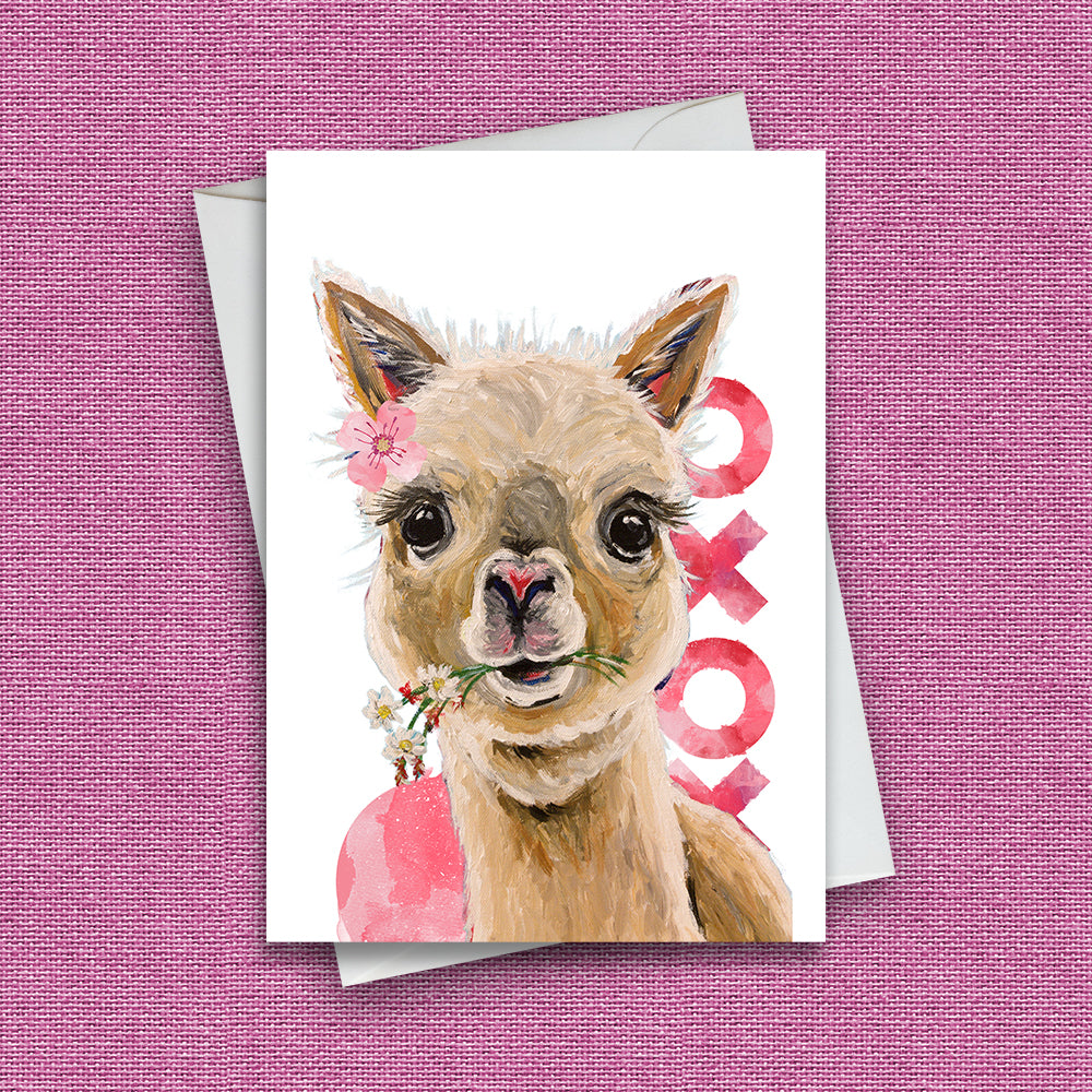 Valentine's Day Card 'Holly', Alpaca Valentine's Day Card